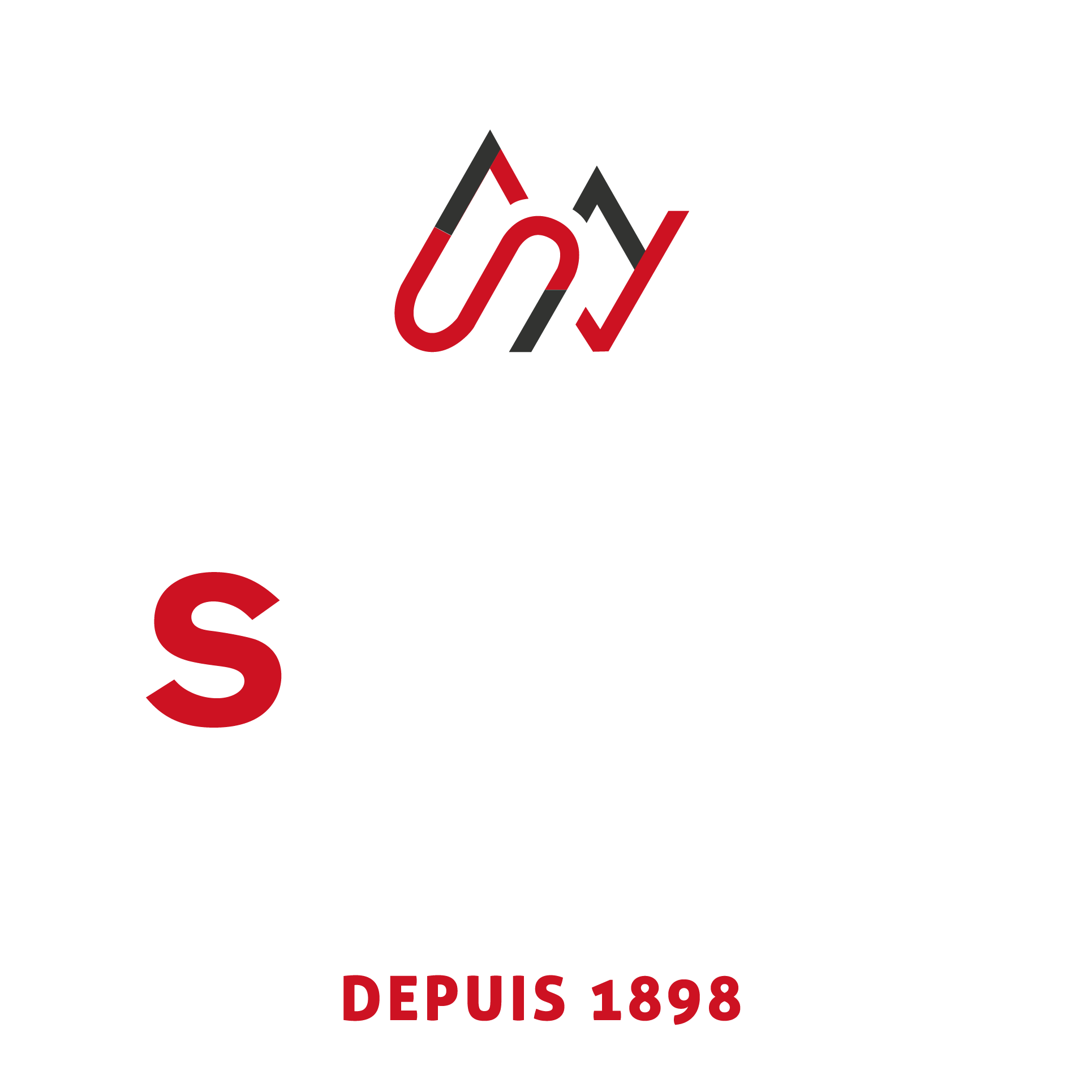 Sportneige
